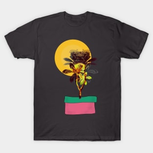 Meaning of Vase T-Shirt